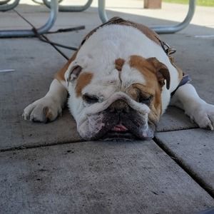 Meet your Posher, Victoria